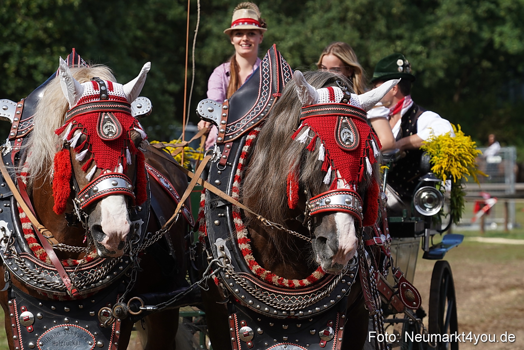 Pferde und Fohlenschau 2022 0234 